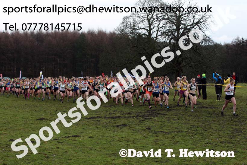 Senior womens Northern Cross Country, Knowsley Safari Park. Photo: David T. Hewitson/Sports for All Pics